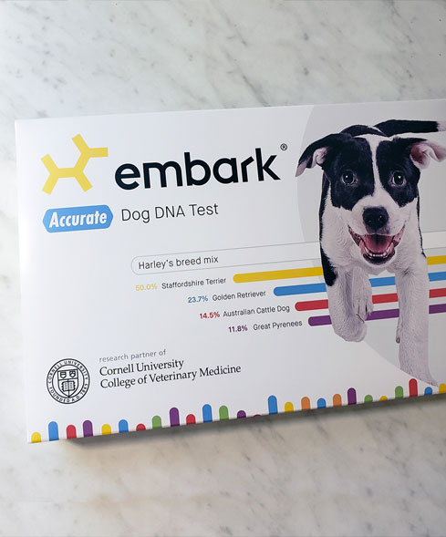 embark_2