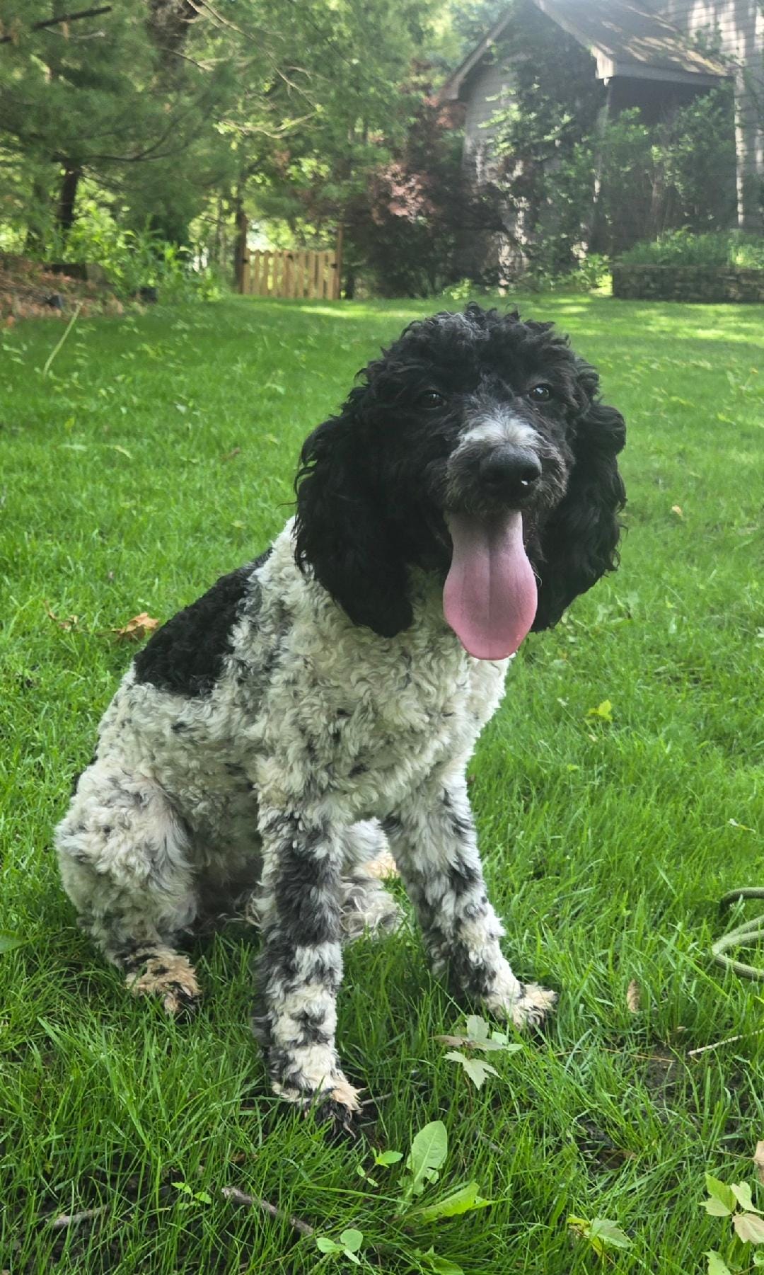 Molly