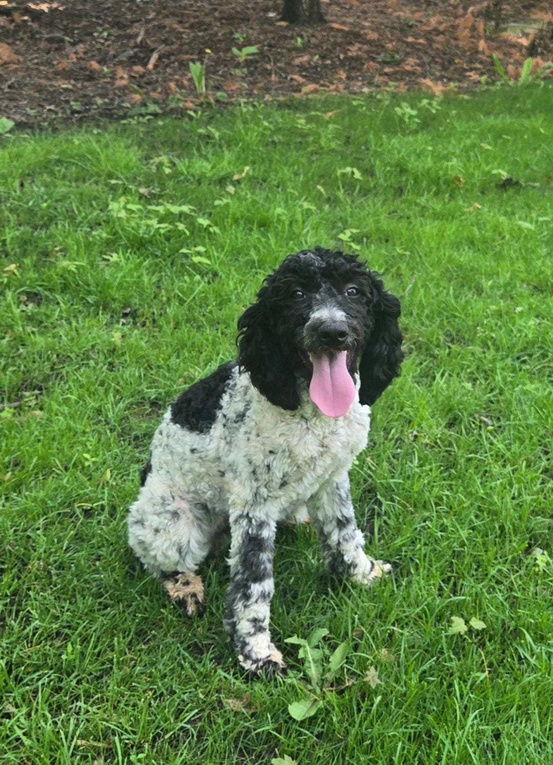 Molly2