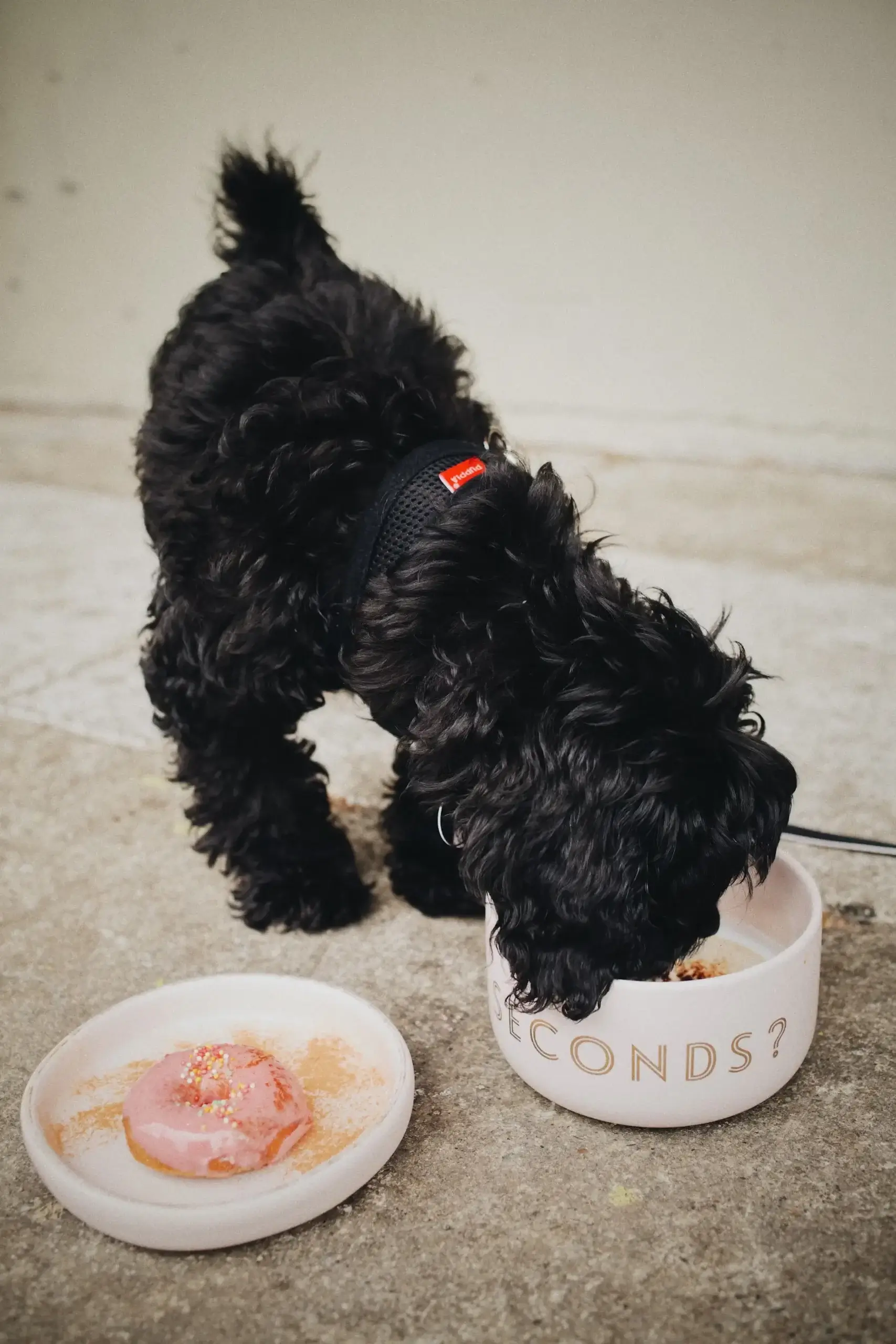 food-scaled